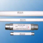 Предохранитель XRNP6-40.5/0.3-31.5-1 (диаметр 25мм)